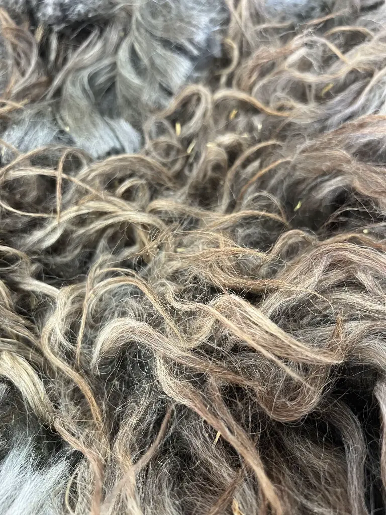629b.webp