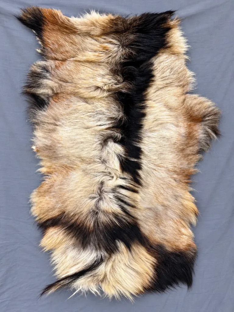 goat hide updated.webp