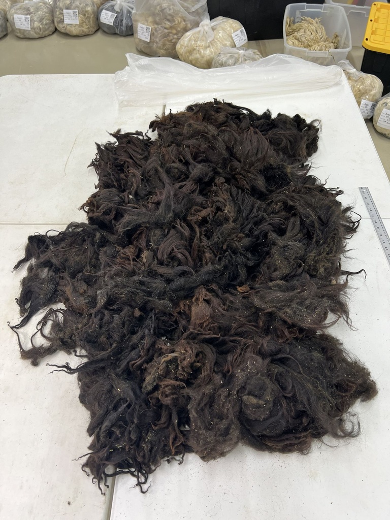 Thick Karakul Sheep Fleece # 109