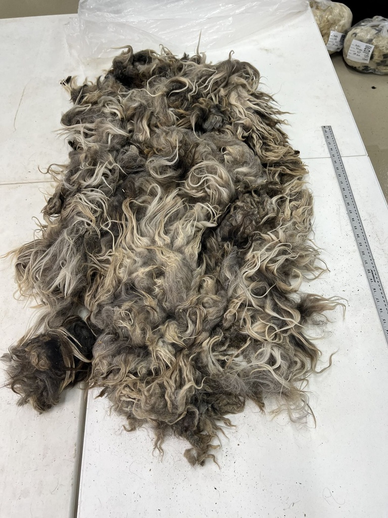 Gorgeous Karakul Sheep Fleece # 110