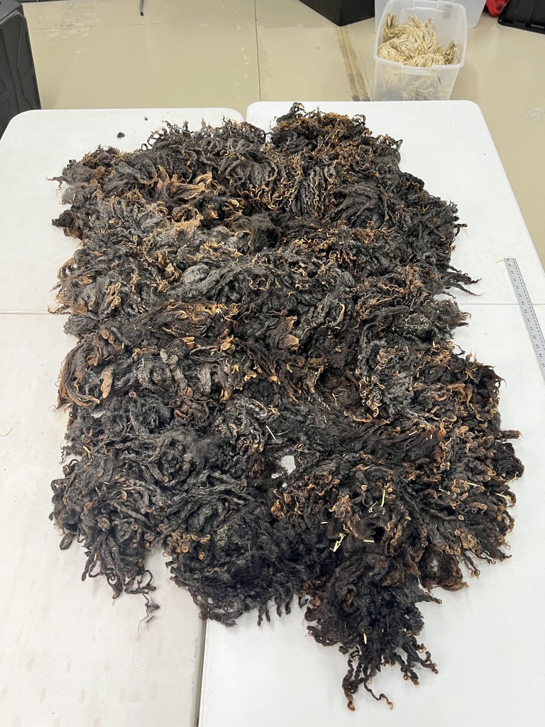 Nice Wensleydale Fleece #65 626