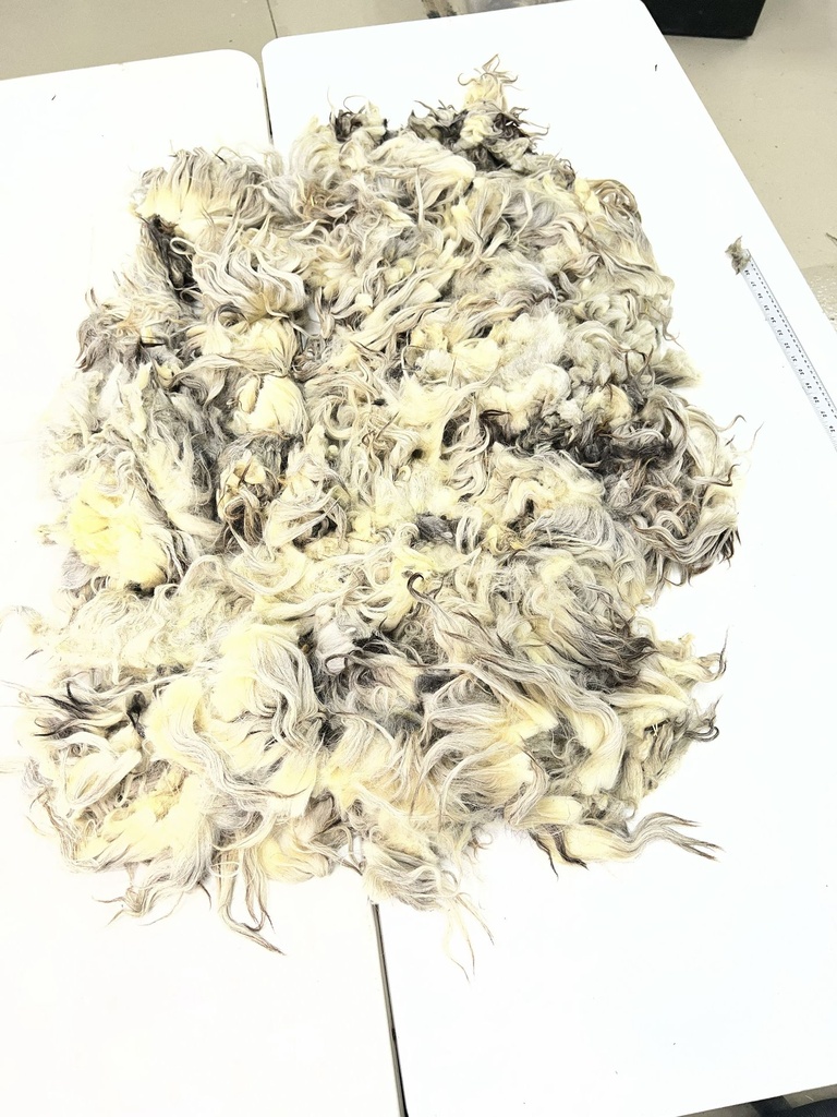 Beautiful Karakul Sheep Fleece #93