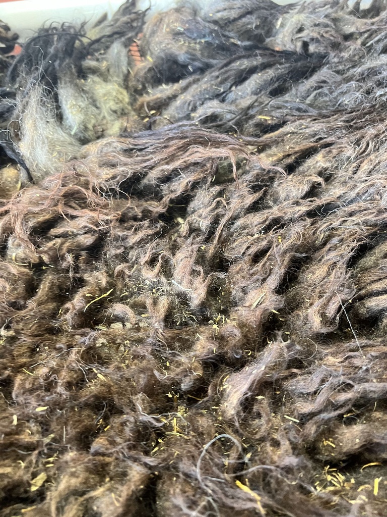 Karakul Fleece w/ Veggie Matter #628 5109