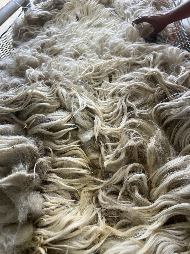 Fun Karakul Fleece with long staple #630 548