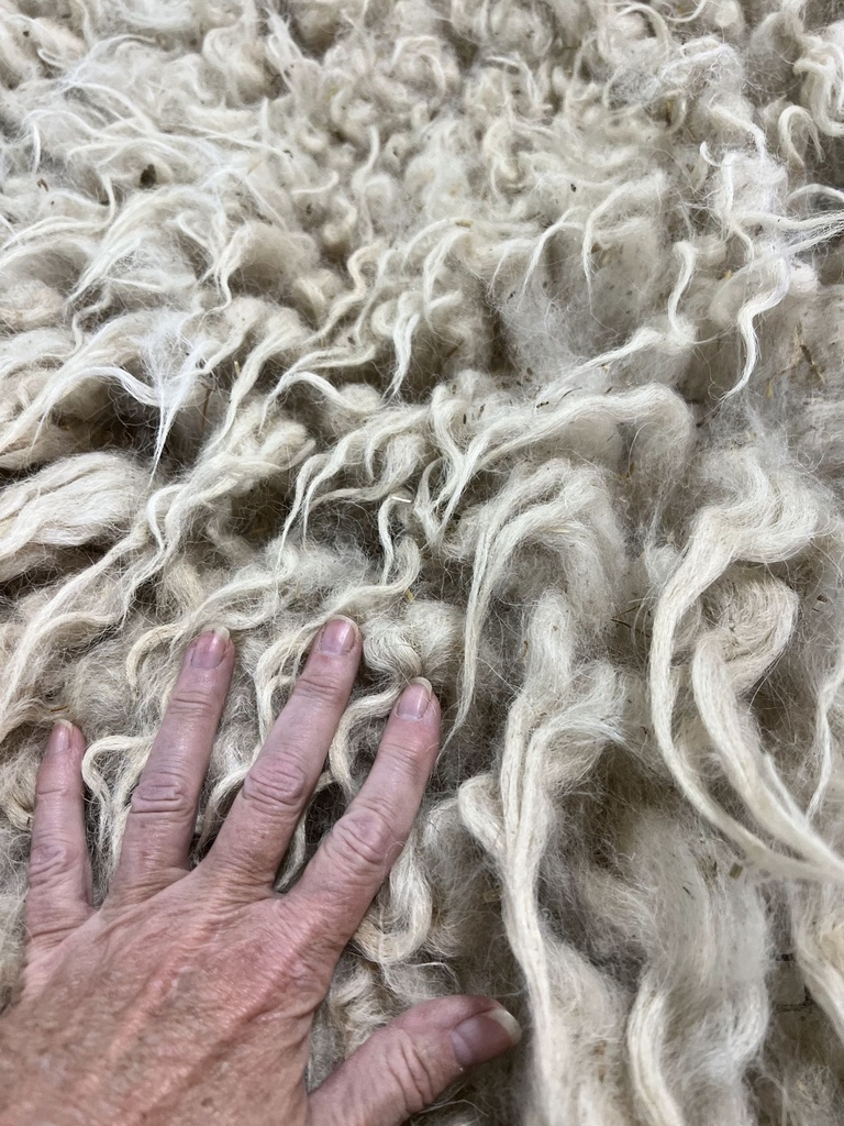 Lovely Karakul Fleece #631 514
