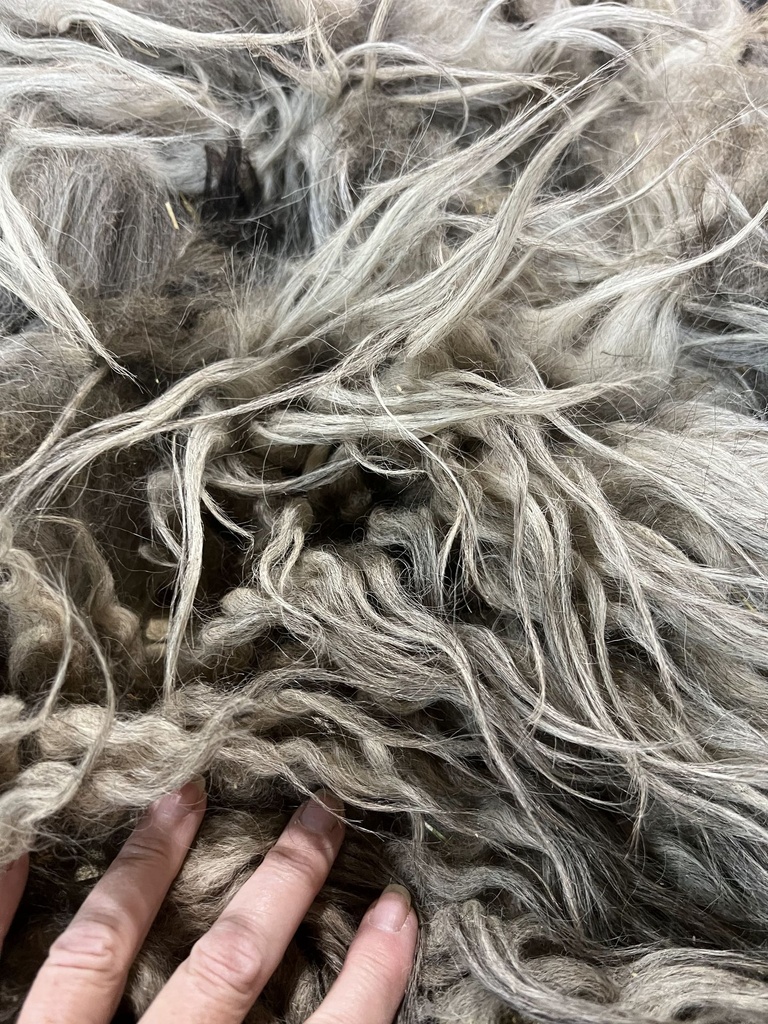 Gorgeous Karakul Fleece Beautiful Color #633 219