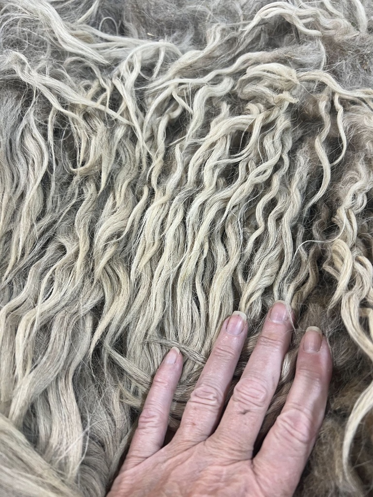 Beautiful Karakul Long Staple #634 4133