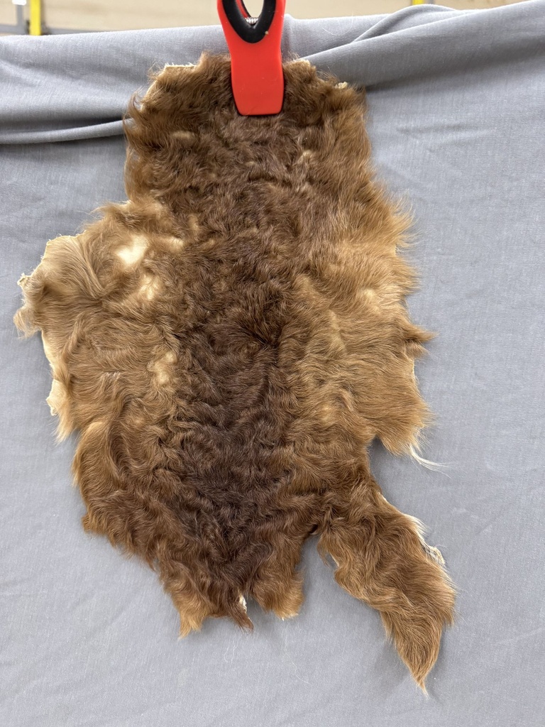 Small Lamb Pelt - Great for Crafting - Free Shipping