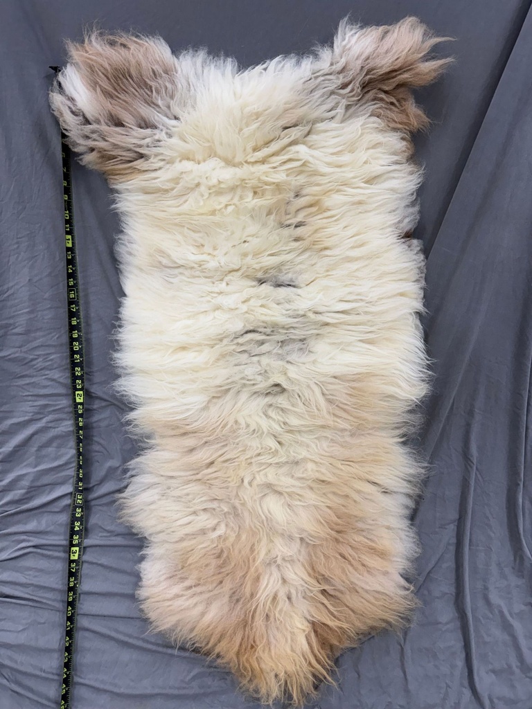 Gorgeous 44 inch Karakul Sheep Pelt - Free Shipping
