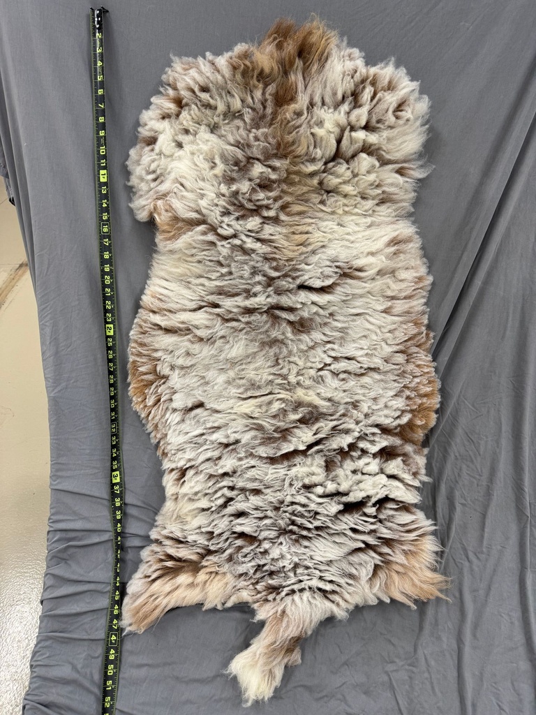 Gorgeous 51 inch Karakul Sheep Pelt - Free Shipping