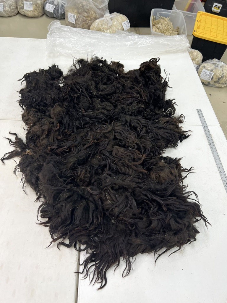 Dark Karakul Sheep Fleece #105