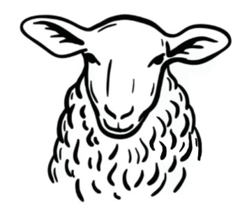 HB Livestock